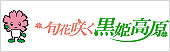 {ԍ炭P